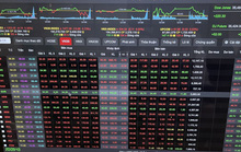 Chứng khoán ngày mai 13-8: Nhiều khả năng tiếp tục điều chỉnh