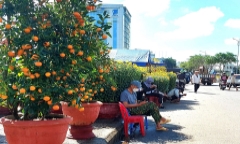 Chợ hoa những ngày giáp Tết: Trăm người bán, lác đác người mua