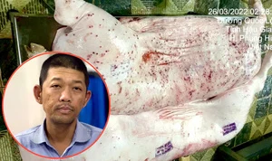 Người tố C.P. bán thịt heo bẩn: Sao hôm trước nói tôi bịa đặt, giờ lại nhận?