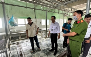 Vụ C.P. Việt Nam bị “tố” bán thịt heo bệnh: Hé lộ sự thật tại cơ sở giết mổ ở Hậu Giang