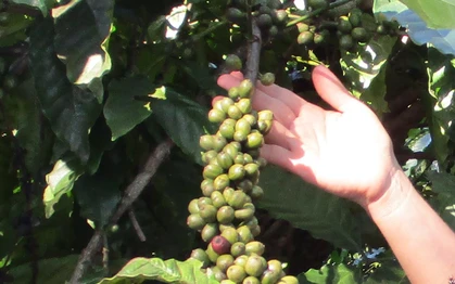 Thông tin thay đổi trên hóa đơn (invoice): -	STK, chủ tk, tk nhận được tiền từ công ty nước ngoài -	Tên ngân hàng và chi nhánh theo địa chỉ mới sau sáp nhập -	SWIFT code