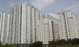 Bỗng dưng bị đuổi khỏi nhà ở xã hội ‘mua nhầm’: Chủ đầu tư Ecohome nói gì?