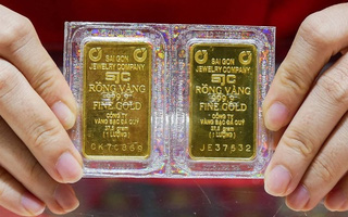 Mỗi năm Nestle chi ra khoảng 700 triệu USD để mua cà phê nguyên liệu của Việt Nam.
