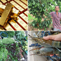 Tiêu dùng trong tuần (từ 25-31/5/2021): Giá vàng tăng mạnh, thực phẩm và trái cây giảm sâu
