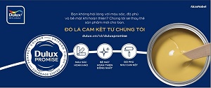 Hóa giải nỗi lo lắng cho gia chủ khi sơn nhà