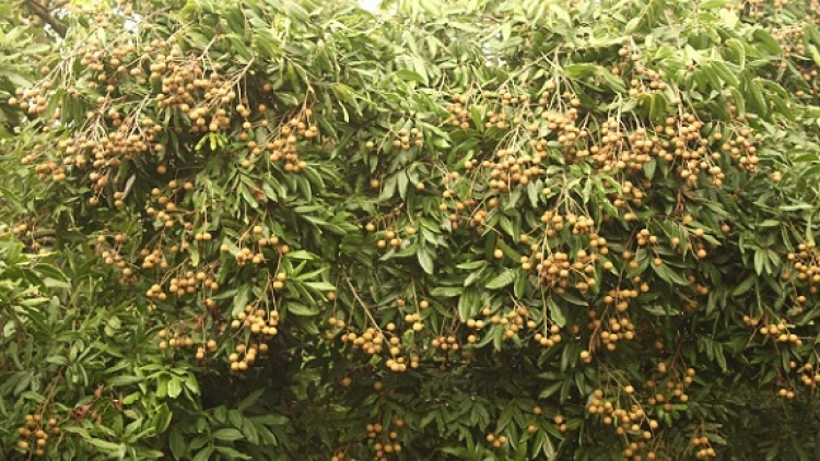 Ưu đãi lớn trong 
