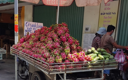 Thanh long lo bí đầu ra sau đợt kiểm tra của Trung Quốc