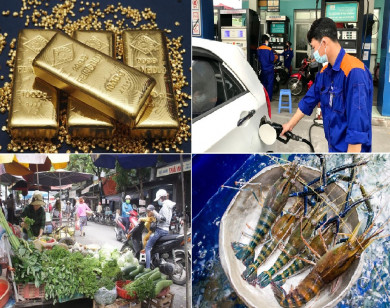 Tiêu dùng trong tuần (từ 22-28/11/2021): Giá vàng, xăng dầu, rau xanh đồng loạt giảm mạnh