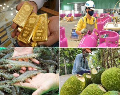 Tiêu dùng trong tuần (từ 29/11-5/12/2021): Giá vàng, gas, trái cây đồng loạt giảm mạnh