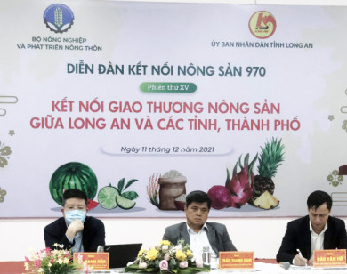 Long An: Người dân gặp khó khăn đưa nông sản tiếp cận thị trường TP Hồ Chí Minh