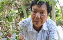 Trái cây 