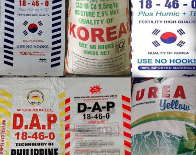 Nhiều doanh nghiệp phân bón, thuốc bảo vệ thực vật đang “tàn phá” nền nông nghiệp