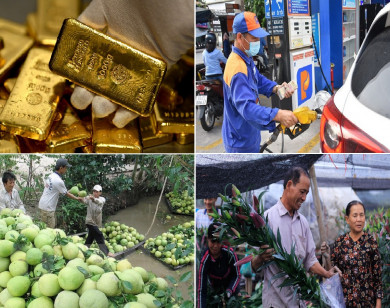 Tiêu dùng trong tuần (từ 17-23/1/2022): Cận Tết, rau xanh, trái cây, hoa đồng loạt tăng mạnh