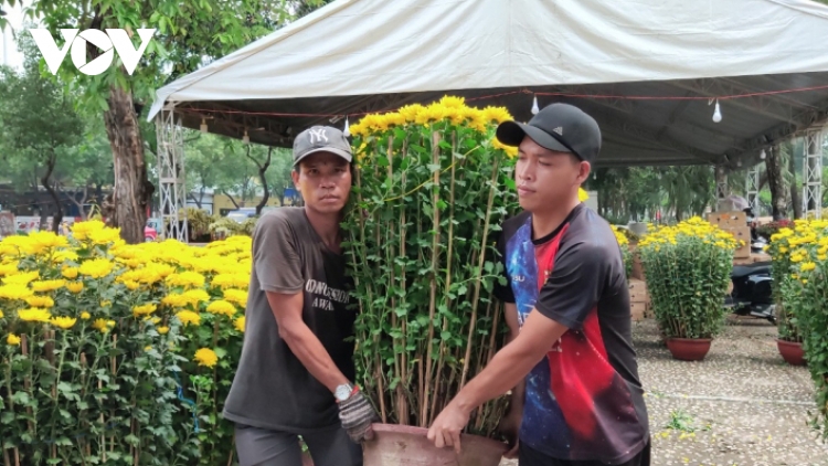 Hoa cây cảnh giảm giá trước Tết, nhiều nhà vườn chuyển hướng bán online