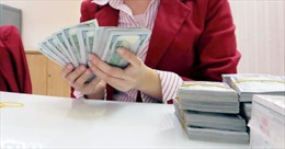 Sáng 7/3, tỷ giá trung tâm tăng 8 đồng