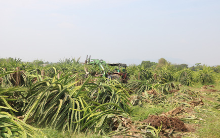 Nông dân 