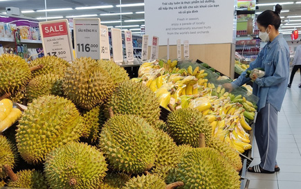 Vào chính vụ, giá sầu riêng vẫn cao