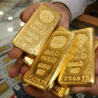 Tham dự họp báo có đại diện Cục Chăn nuôi (Bộ Nông nghiệp và Phát triển Nông thôn Việt Nam); Trung tâm khuyến nông quốc gia (Bộ nông nghiệp và phát tr