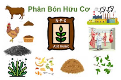 Công ty phân bón hữu cơ Truyền Thống, quá trình hình thành phát triển