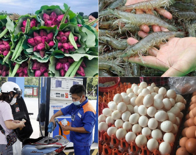 Tiêu dùng trong tuần (từ 12-18/6/2023): Giá nhiều mặt hàng giảm mạnh