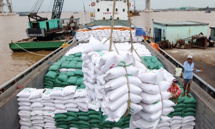 Thủ tướng yêu cầu xử lý nghiêm các trường hợp đẩy giá lúa gạo lên cao bất hợp lý
