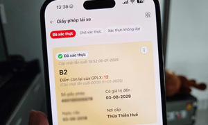 Cách kiểm tra điểm của giấy phép lái xe
